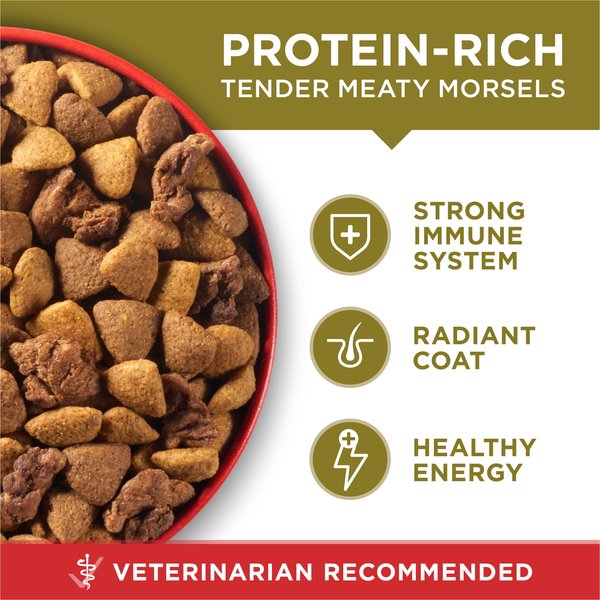 Show full view: Purina ONE Lamb & Rice Formula Dry Dog Food, 14-kg bag slide 7 of 9