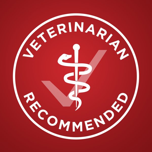 Show full view: Purina ONE Lamb & Rice Formula Dry Dog Food, 14-kg bag slide 6 of 9