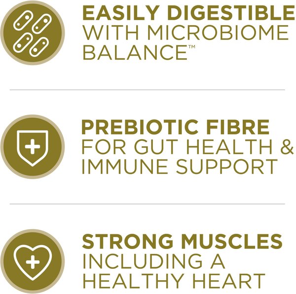 Show full view: Purina ONE Lamb & Rice Formula Dry Dog Food, 14-kg bag slide 4 of 9