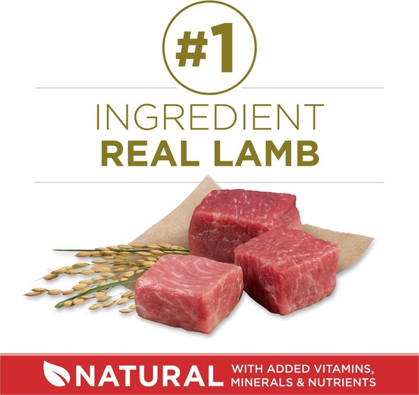 Show full view: Purina ONE Lamb & Rice Formula Dry Dog Food, 14-kg bag slide 3 of 9