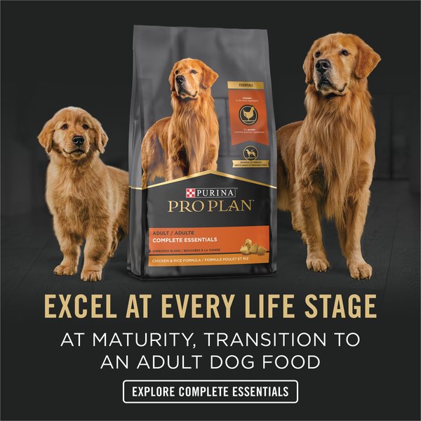 Show full view: Purina Pro Plan Development Chicken & Rice Entree Wet Dog Food, 368-g can, case of 12 slide 6 of 8
