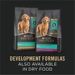 Show in main carousel: Purina Pro Plan Development Chicken & Rice Entree Wet Dog Food, 368-g can, case of 12 slide 5 of 8
