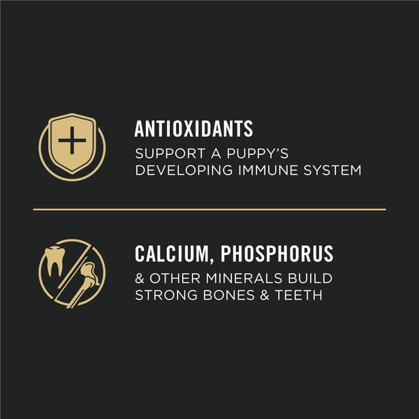 Show full view: Purina Pro Plan Development Lamb & Rice Formula Dry Puppy Food, 15.4-kg bag slide 4 of 9