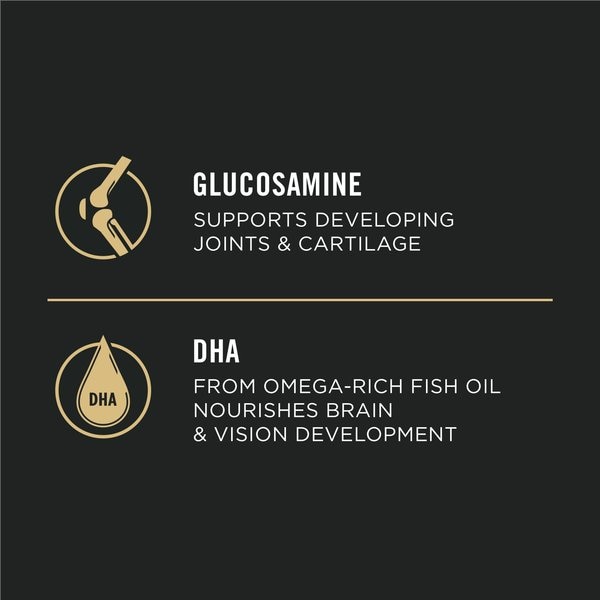 Show full view: Purina Pro Plan Development Large Breed Chicken & Rice Formula Dry Dog Food, 15.4-kg bag slide 6 of 9