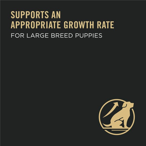 Show full view: Purina Pro Plan Development Large Breed Chicken & Rice Formula Dry Dog Food, 15.4-kg bag slide 4 of 9