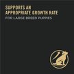 Show in main carousel: Purina Pro Plan Development Large Breed Chicken & Rice Formula Dry Dog Food, 15.4-kg bag slide 4 of 9