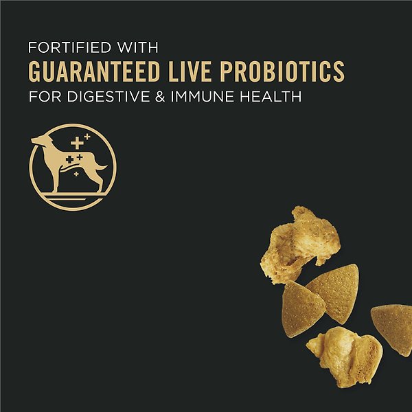 Show full view: Purina Pro Plan Complete Essentials Shredded Blend Chicken & Rice Formula Dry Dog Food, 21.3-kg bag slide 7 of 10