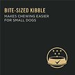 Show in main carousel: Purina Pro Plan Development Small Breed Chicken & Rice Formula Dry Dog Food, 2.72-kg bag slide 6 of 9