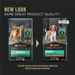 Show in main carousel: Purina Pro Plan Development Small Breed Chicken & Rice Formula Dry Dog Food, 8.16-kg bag slide 2 of 11
