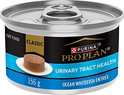 Purina Pro Plan Urinary Tract Health Ocean Whitefish Entree Wet Cat Food, 156-g can, case of 24