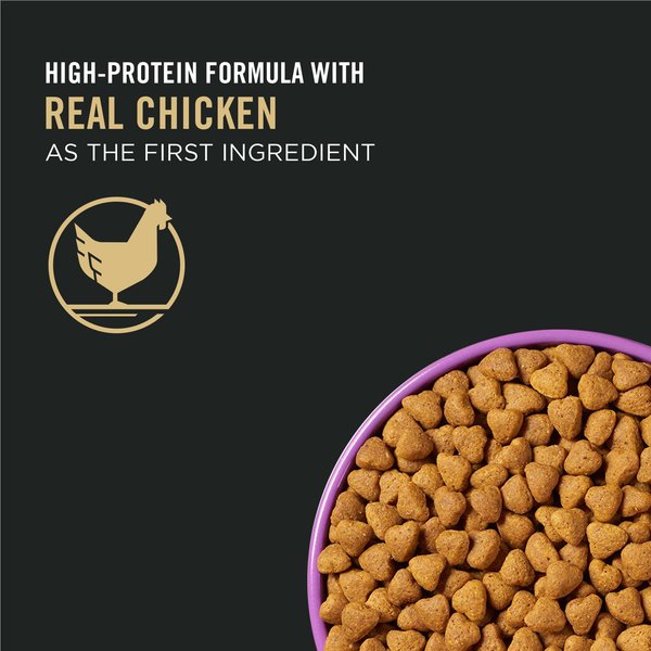 Show full view: Purina Pro Plan Sport Performance 30/20 Chicken & Rice Formula Dry Dog Food, 17-kg bag slide 7 of 10