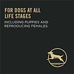 Show in main carousel: Purina Pro Plan Sport Performance 30/20 Chicken & Rice Formula Dry Dog Food, 17-kg bag slide 6 of 10