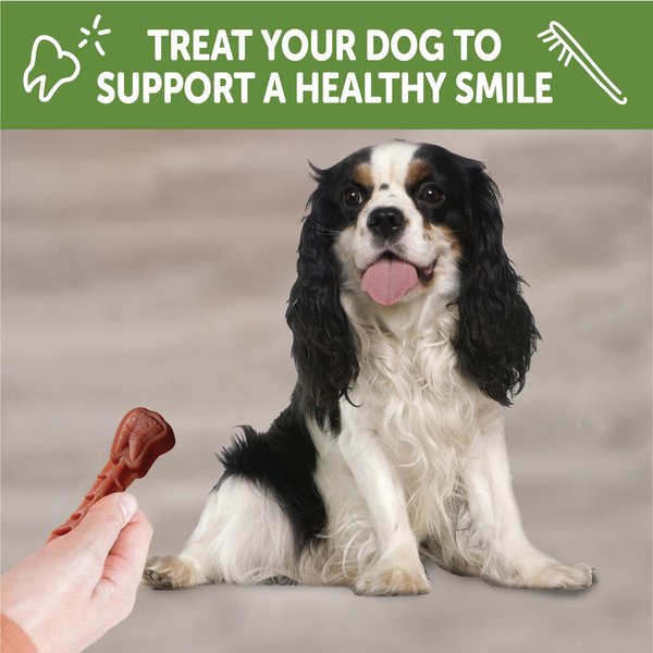 Show full view: WHIMZEES by Wellness Variety Box Dental Chews Natural Grain-Free Dental Dog Treats, Small, 56 count slide 8 of 9