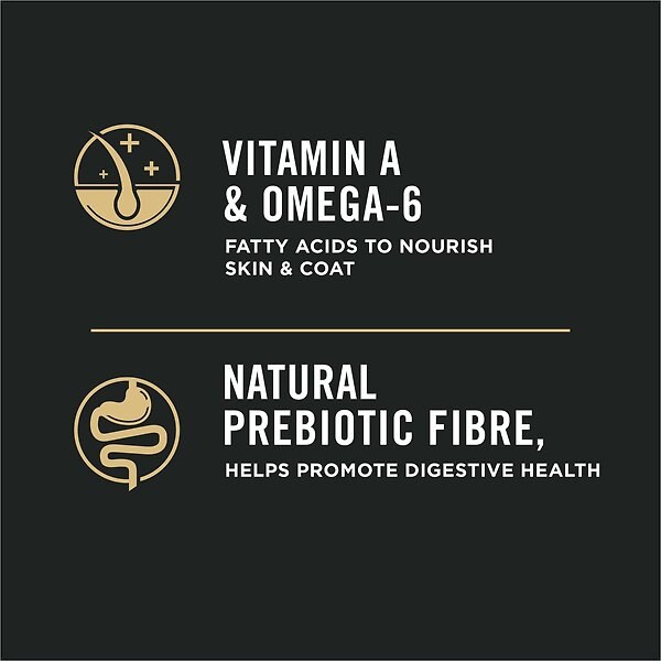 Show full view: Purina Pro Plan Complete Essentials Shredded Blend Turkey & Rice Dry Dog Food, 15-kg bag slide 5 of 9