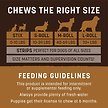 Show in main carousel: Earth Animal No-Hide Large Rolls Long Lasting Natural Rawhide Alternative Venison Recipe Chew Dog Treats, 1 count slide 5 of 9