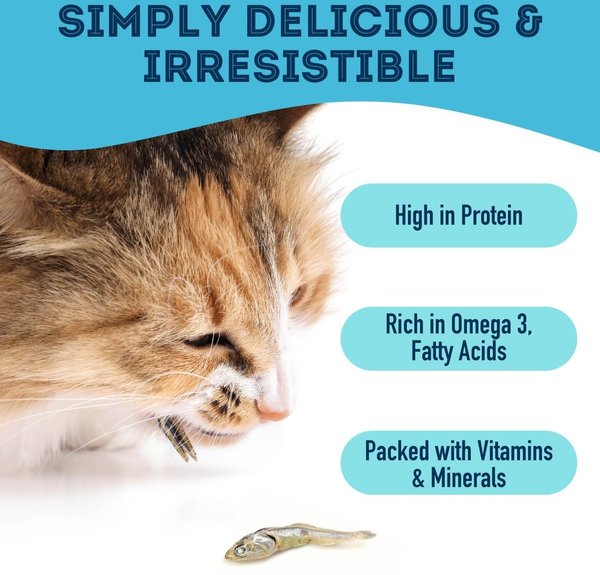 Show full view: The Granville Island Pet Treatery All of a Sardine I was Hungry Dehydrated Sardine Dog & Cat Treats, 1.76-oz bag slide 4 of 9