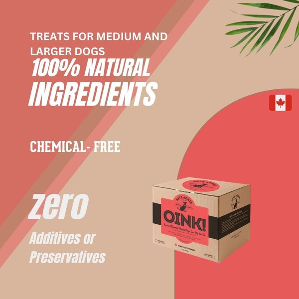 Show full view: The Granville Island Pet Treatery Oink! Pets Agree Bacon Flavored Dog Treats, 32-oz bag, Small slide 7 of 9