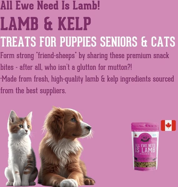 Show full view: The Granville Island Pet Treatery All Ewe Need is Lamb Soft Chew Treats, 6.17-oz bag slide 4 of 9