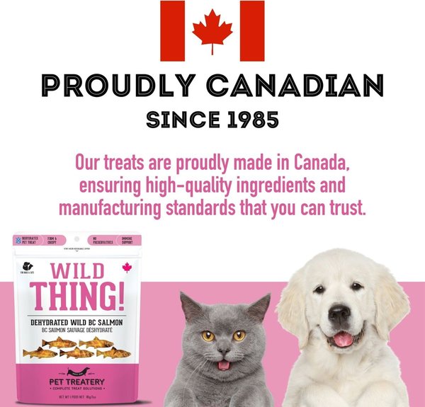 Show full view: The Granville Island Pet Treatery Wild Thing Wild Caught BC Salmon Grain-Free Dehydrated Dog & Cat Treats, 3-oz bag slide 6 of 7