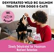 Show in main carousel: The Granville Island Pet Treatery Wild Thing Wild Caught BC Salmon Grain-Free Dehydrated Dog & Cat Treats, 3-oz bag slide 4 of 7
