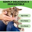 Show in main carousel: The Granville Island Pet Treatery Why Did the Dog Cross the Road? Freeze-Dried Chicken Dog & Cat Treats, 1.76-oz bag slide 4 of 7