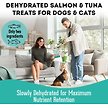 Show in main carousel: The Granville Island Pet Treatery To Dive For! Dehydrated Salmon & Tuna Dog & Cat Treats, 3.17-oz bag slide 3 of 7