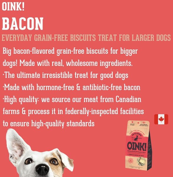 Show full view: The Granville Island Pet Treatery OINK! Pets Agree Grain-Free Bacon Flavored Dog Treats, 16-oz bag slide 3 of 8