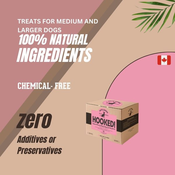 The Granville Island Pet Treatery Hooked! Pets Agree Salmon Flavored Dog Treats, 32-oz bag, Small