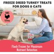 Show in main carousel: The Granville Island Pet Treatery Giving Thanks Turkey Grain-Free Freeze-Dried Dog & Cat Treats, 1.76-oz bag slide 4 of 6