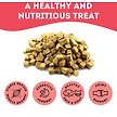 Show in main carousel: The Granville Island Pet Treatery Giving Thanks Turkey Grain-Free Freeze-Dried Dog & Cat Treats, 1.76-oz bag slide 2 of 6
