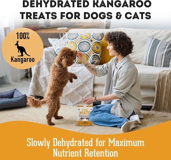 Show full view: The Granville Island Pet Treatery G'Day Mate Kangaroo Grain-Free Dehydrated Dog & Cat Treats, 3-oz bag slide 3 of 6
