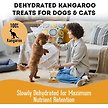 Show in main carousel: The Granville Island Pet Treatery G'Day Mate Kangaroo Grain-Free Dehydrated Dog & Cat Treats, 3-oz bag slide 3 of 6