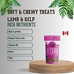 Show in main carousel: The Granville Island Pet Treatery All Ewe Need is Lamb Soft Chew Treats, 6.17-oz bag slide 5 of 9