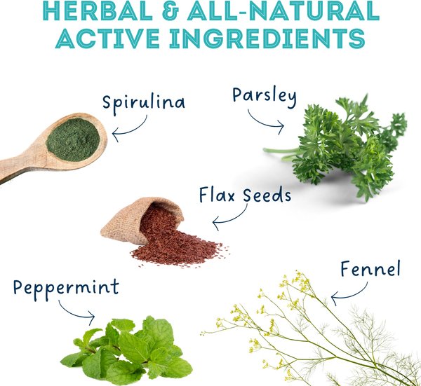 Show full view: The Granville Island Pet Treatery Gasp! My Breath Is Stinky Nutra Supplement Treat Bites, 240-g bag slide 3 of 6