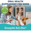 Show in main carousel: The Granville Island Pet Treatery Gasp! My Breath Is Stinky Nutra Supplement Treat Bites, 240-g bag slide 2 of 6