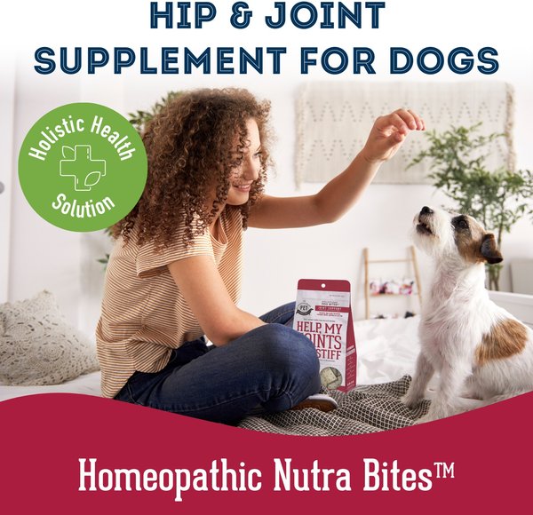 Show full view: The Granville Island Pet Treatery Help, My Joints are Stiff Nutra Supplement Treat Bites, 240-g bag slide 7 of 7