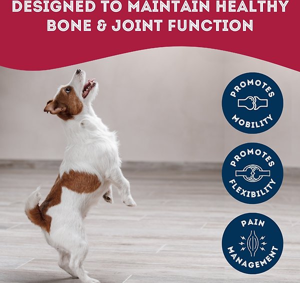 Show full view: The Granville Island Pet Treatery Help, My Joints are Stiff Nutra Supplement Treat Bites, 240-g bag slide 3 of 7