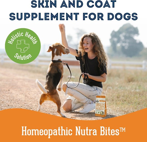 Show full view: The Granville Island Pet Treatery Yikes! I’m Itchy and Scratchy Nutra Supplement Treat Bites, 240-g bag slide 6 of 6