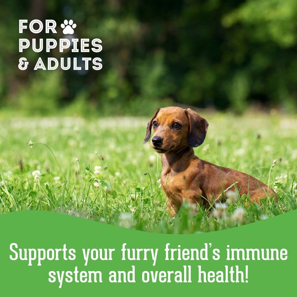 Show full view: The Granville Island Pet Treatery Stress! Whaddya Mean I’m Stressed! Nutra Supplement Treat Bites, 240-g bag slide 4 of 6