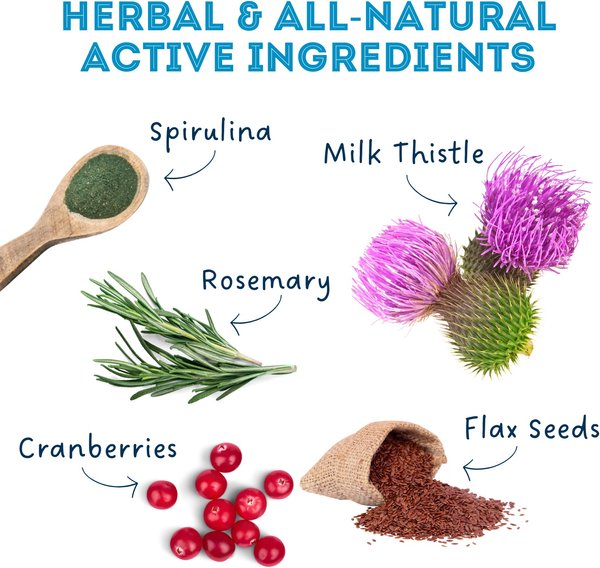 Show full view: The Granville Island Pet Treatery Love Me Longer (Boost My Immunity) Nutra Supplement Treat Bites, 240-g bag slide 3 of 6