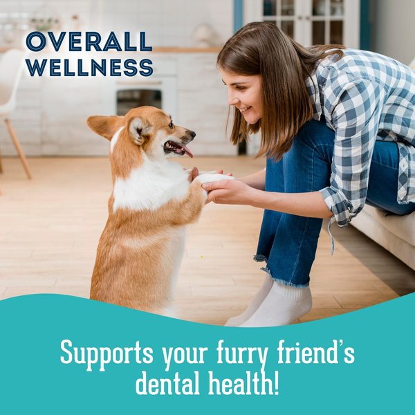 Show full view: The Granville Island Pet Treatery Gasp! My Breath Is Stinky Nutra Supplement Treat Bites, 240-g bag slide 5 of 6