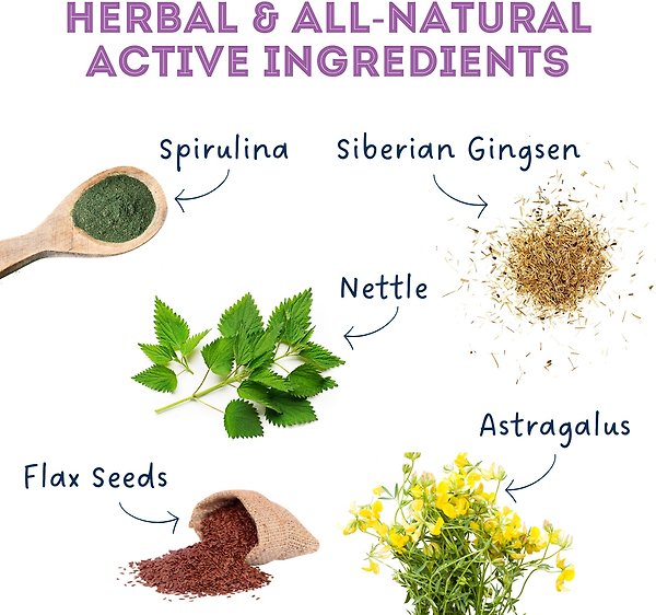 Show full view: The Granville Island Pet Treatery Achoo! My Allergies Really Suck! Nutra Supplement Treat Bites, 240-g bag slide 6 of 6