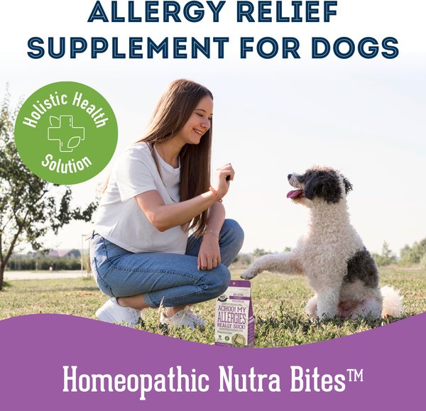 Show full view: The Granville Island Pet Treatery Achoo! My Allergies Really Suck! Nutra Supplement Treat Bites, 240-g bag slide 5 of 6