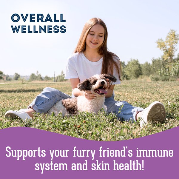 Show full view: The Granville Island Pet Treatery Achoo! My Allergies Really Suck! Nutra Supplement Treat Bites, 240-g bag slide 3 of 6