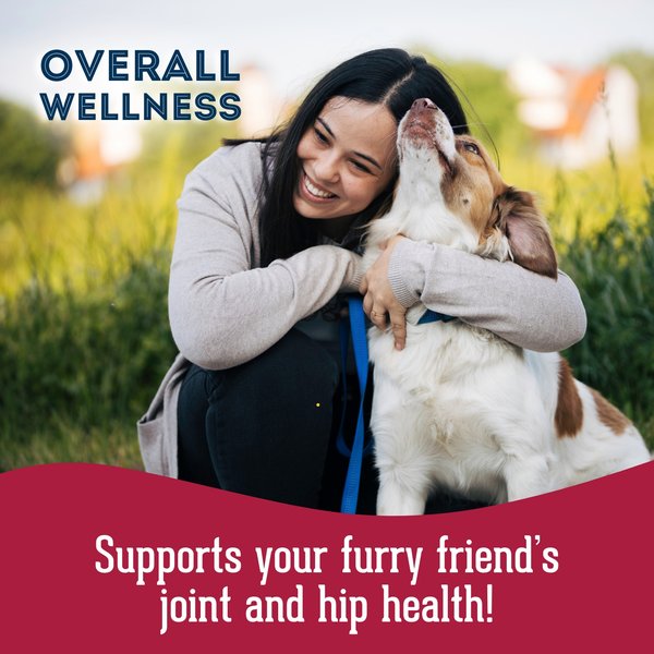 Show full view: The Granville Island Pet Treatery Help, My Joints are Stiff Nutra Supplement Treat Bites, 240-g bag slide 4 of 7