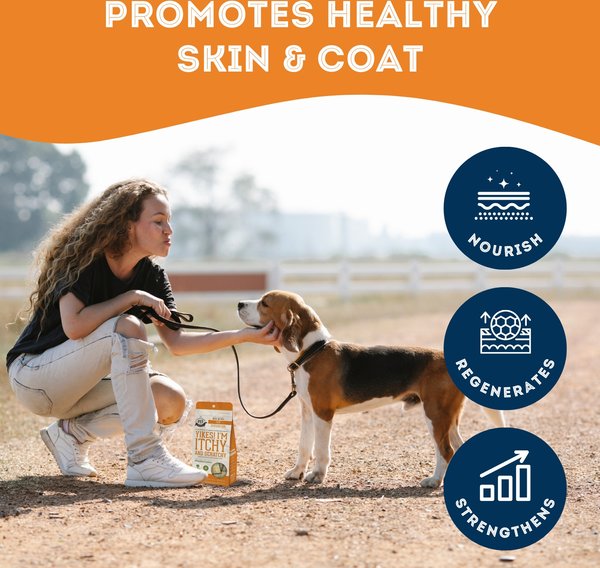 Show full view: The Granville Island Pet Treatery Yikes! I’m Itchy and Scratchy Nutra Supplement Treat Bites, 240-g bag slide 3 of 6