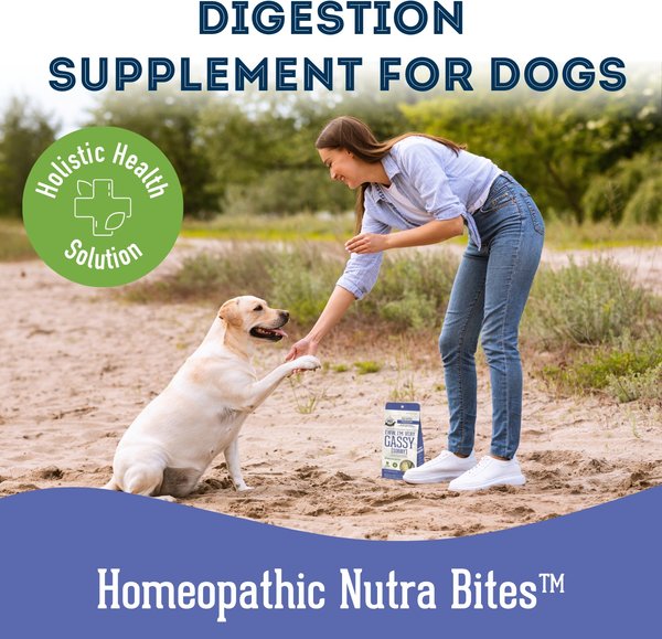 Show full view: The Granville Island Pet Treatery Eww, I’m Very Gassy (Sorry) Nutra Supplement Treat Bites, 240-g bag slide 6 of 6