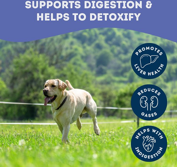 Show full view: The Granville Island Pet Treatery Eww, I’m Very Gassy (Sorry) Nutra Supplement Treat Bites, 240-g bag slide 3 of 6
