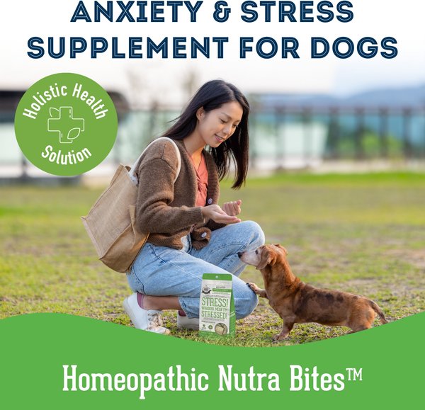 Show full view: The Granville Island Pet Treatery Stress! Whaddya Mean I’m Stressed! Nutra Supplement Treat Bites, 240-g bag slide 6 of 6