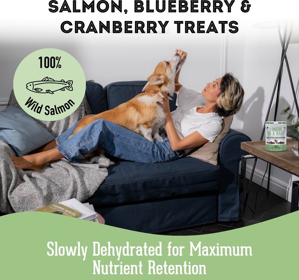 Show full view: The Granville Island Pet Treatery A Smoothie. In a Bag! Premium Dehydrated Salmon, Cranberry, and Blueberry, 80-g bag slide 3 of 8